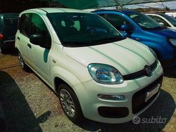Bianco Usata 2020 Fiat Panda Easy Due volumi | 8500 € (Buon prezzo)