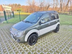 Verde Usata 2011 Fiat Panda Cross Cross Due volumi | 5950 € (Ottimo prezzo)