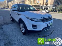 Bianco Usata 2013 Land Rover Range Rover evoque Pure SUV | 9900 € (Ottimo prezzo)
