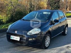 Blu Usata 2015 Fiat Punto Street Due volumi | 3990 € (Ottimo prezzo)