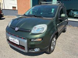 Verde Usata 2014 Fiat Panda 4x4 S Due volumi | 10.870 € (Molto cara)