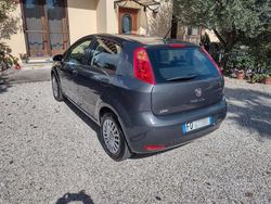 Grigio Usata 2016 Fiat Punto Young Due volumi | 8500 € (Molto cara)