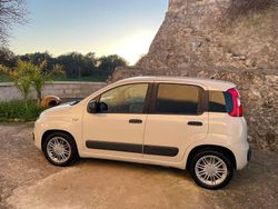Other Usata 2016 Fiat Panda Easy Due volumi | 5900 € (Cara)