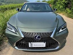 Sunlight green Usata 2021 Lexus ES300H Business Edition Tre volumi | 37.500 €