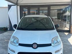 Bianco Usata 2015 Fiat Panda Easy Due volumi | 7500 € (Buon prezzo)