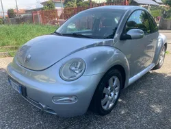 VW Beetle