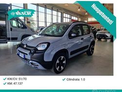 Grigio Usata 2020 Fiat Panda Cross Cross Due volumi | 12.500 € (Cara)