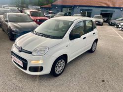 Bianco Usata 2019 Fiat Panda Easy Due volumi | 8990 € (Buon prezzo)