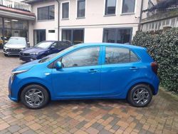 Blu Nuova 2026 Kia Picanto Urban Due volumi | 14.990 €