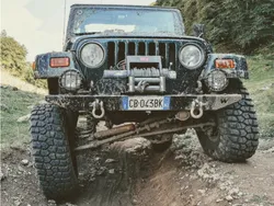 Usata 2002 Jeep Wrangler SUV | 23.900 € (Ottimo prezzo)