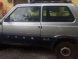 Usata 1999 Fiat Panda 4x4 Trekking Due volumi | 4800 € (Ottimo prezzo)