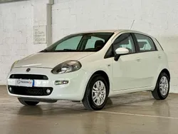 Bianco Usata 2014 Fiat Punto Lounge Due volumi | 7800 € (Cara)