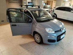 Grigio Usata 2022 Fiat Panda S Tre volumi | 8500 € (Ottimo prezzo)