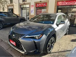 Grigio(met.) Usata 2020 Lexus UX 300e Executive Line SUV | 25.900 €