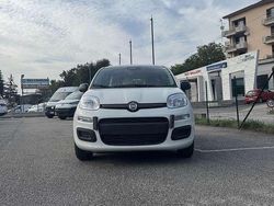 Bianco Nuova 2025 Fiat Panda Due volumi | 14.500 €