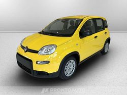 Giallo sole (pastello) Usata 2024 Fiat Panda Due volumi | 12.800 € (Buon prezzo)