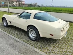 Usata 1981 Corvette Stingray | 29.900 €