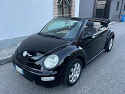 VW Beetle