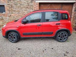 Rosso Usata 2022 Fiat Panda Due volumi | 12.000 € (Cara)