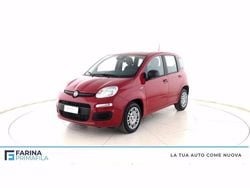 Rosso passione pastello Nuova 2025 Fiat Panda S Due volumi | 13.500 € (Buon prezzo)