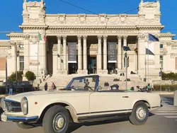 Bianco Usata 1964 Mercedes 230 Cabrio | 80.000 €