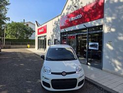 Bianco Nuova 2025 Fiat Panda S Due volumi | 15.490 €