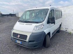 Bianco Usata 2013 Fiat Ducato Furgone | 10.500 € (Cara)
