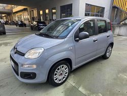 Other Usata 2021 Fiat Panda Due volumi | 9900 € (Buon prezzo)