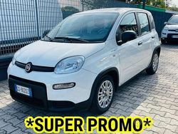 Bianco Usata 2023 Fiat Panda Due volumi | 10.900 € (Buon prezzo)
