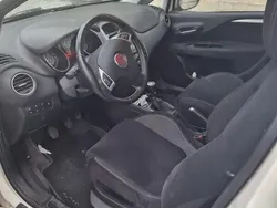 Usata 2015 Fiat Punto Due volumi | 5500 € (Ottimo prezzo)