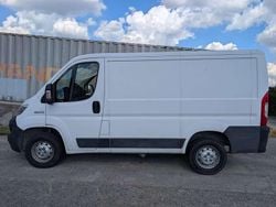 Bianco Usata 2018 Fiat Ducato Furgone | 14.500 € (Ottimo prezzo)