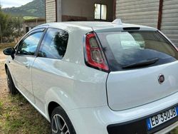Bianco Usata 2011 Fiat Punto Due volumi | 3500 € (Ottimo prezzo)