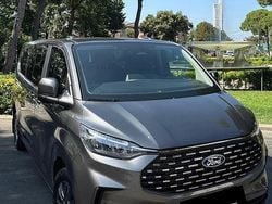 Grigio Usata 2025 Ford Tourneo Custom Titanium Furgone | 52.000 € (Molto cara)