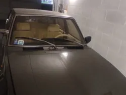 Usata 1982 Alfa Romeo Alfetta Quadrifoglio Tre volumi | 11.000 €