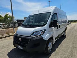 Bianco Usata 2020 Fiat Ducato Furgone | 15.800 € (Ottimo prezzo)