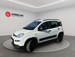 Bianco Usata 2020 Fiat Panda 4x4 S Due volumi | 16.400 € (Molto cara)