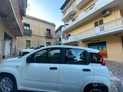 Bianco Usata 2016 Fiat Panda Due volumi | 7500 € (Ottimo prezzo)
