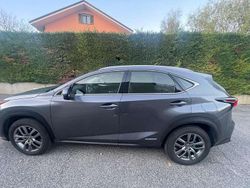 Grigio Usata 2018 Lexus NX300h Executive Line SUV | 27.500 € (Molto cara)
