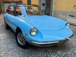 Blu Usata 1960 Alfa Romeo Spider Cabrio | 48.500 €