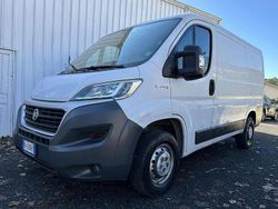 Bianco Usata 2017 Fiat Ducato Furgone | 9701 € (Ottimo prezzo)