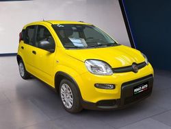 Bicolor Nuova 2025 Fiat Panda S | 14.100 €