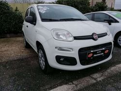 Bianco Usata 2020 Fiat Panda Lounge Due volumi | 7990 € (Ottimo prezzo)
