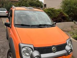 Usata 2006 Fiat Panda Cross Due volumi | 6500 €