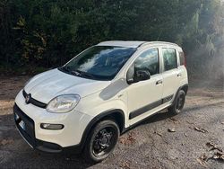 Usata 2019 Fiat Panda 4x4 Due volumi | 7000 €