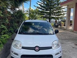 Bianco Usata 2013 Fiat Panda Due volumi | 5000 € (Buon prezzo)
