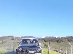 Usata 1992 Nissan Patrol SUV | 14.500 €