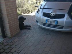 Grigio Usata 2007 Toyota Yaris Tre volumi | 1800 €