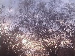 Usata 2008 Chrysler PT Cruiser Tre volumi | 1500 € (Super prezzo)