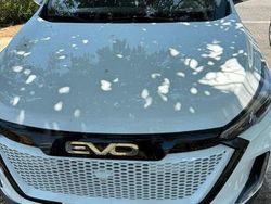 Bianco Usata 2024 EVO Evo 5 SUV | 16.735 € (Cara)