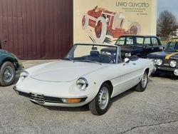 Bianco Usata 1975 Alfa Romeo Spider Veloce Cabrio | 28.000 €